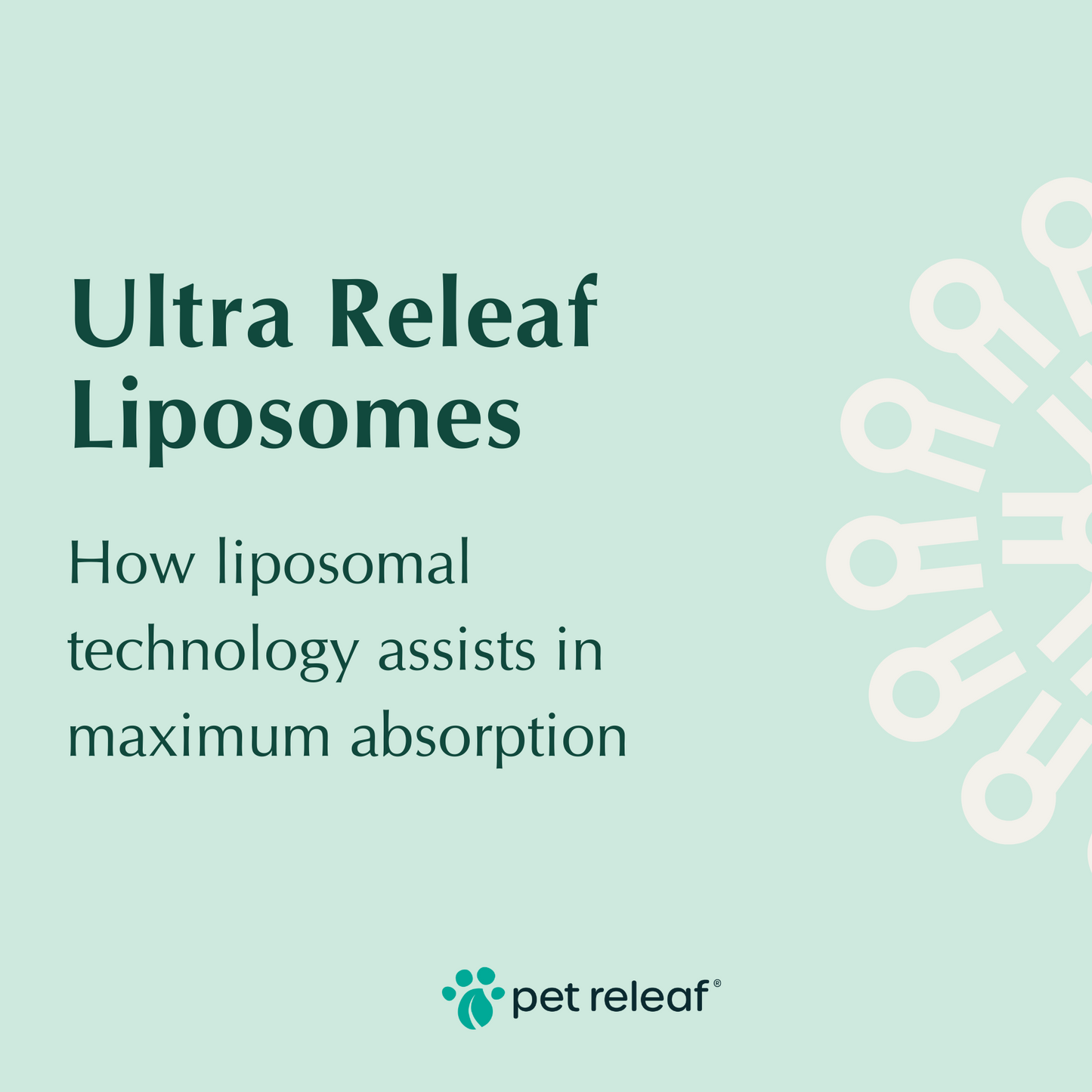 Pet Releaf Ultra Releaf Hemp Oil 100 For Small Dogs & Cats