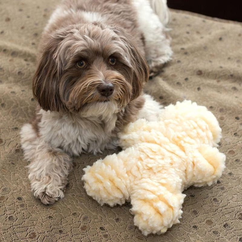 HuggleHounds HuggleFleece Man Plush Dog Toy