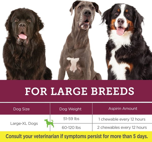 Vetality Canine Aspirin Pain Relief Supplement for Dogs