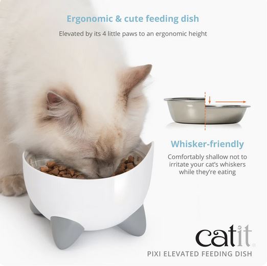 Catit PIXI Elevated Feeding Dish for Cats