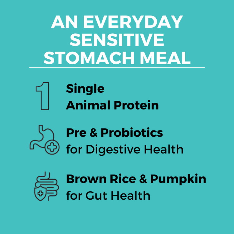 KOHA Limited Ingredient Bland Diet Beef & Brown Rice Recipe with Pumpkin Dry Dog Food