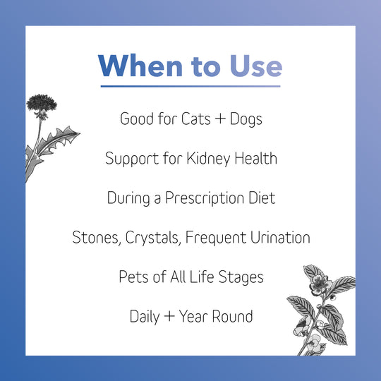 InClover BioRen Bladder & Kidney Health Powder Supplement for Dogs & Cats