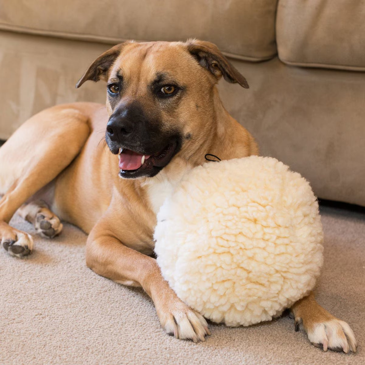 HuggleHounds HuggleFleece Ball Dog Toy