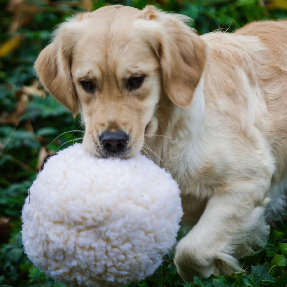 HuggleHounds HuggleFleece Ball Dog Toy
