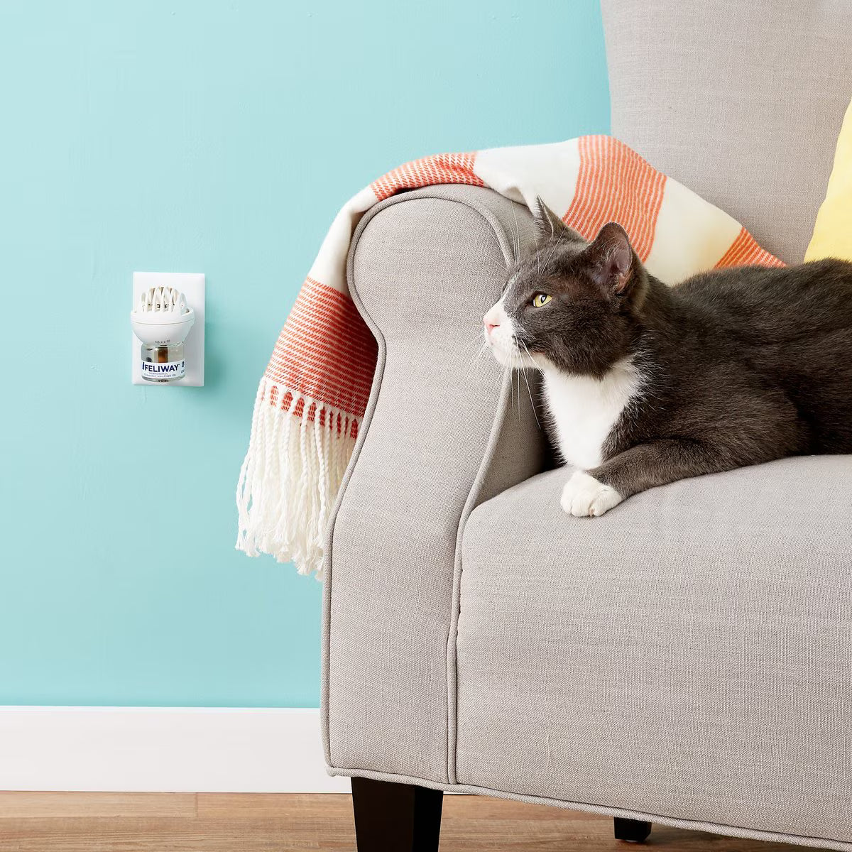 Feliway Classic 30 Day Starter Kit Calming Diffuser for Cats