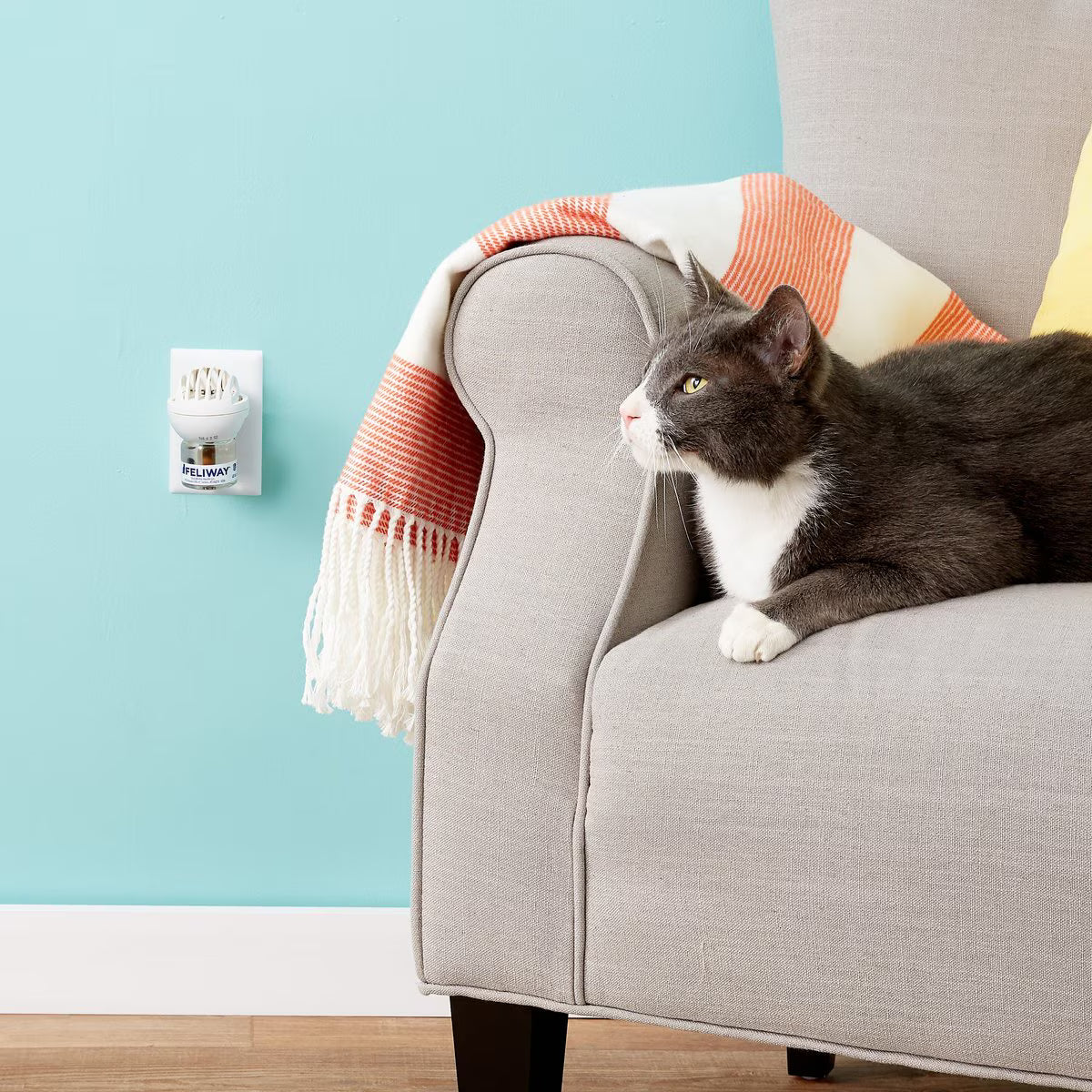 Feliway Classic 30 Day Calming Diffuser Refill for Cats