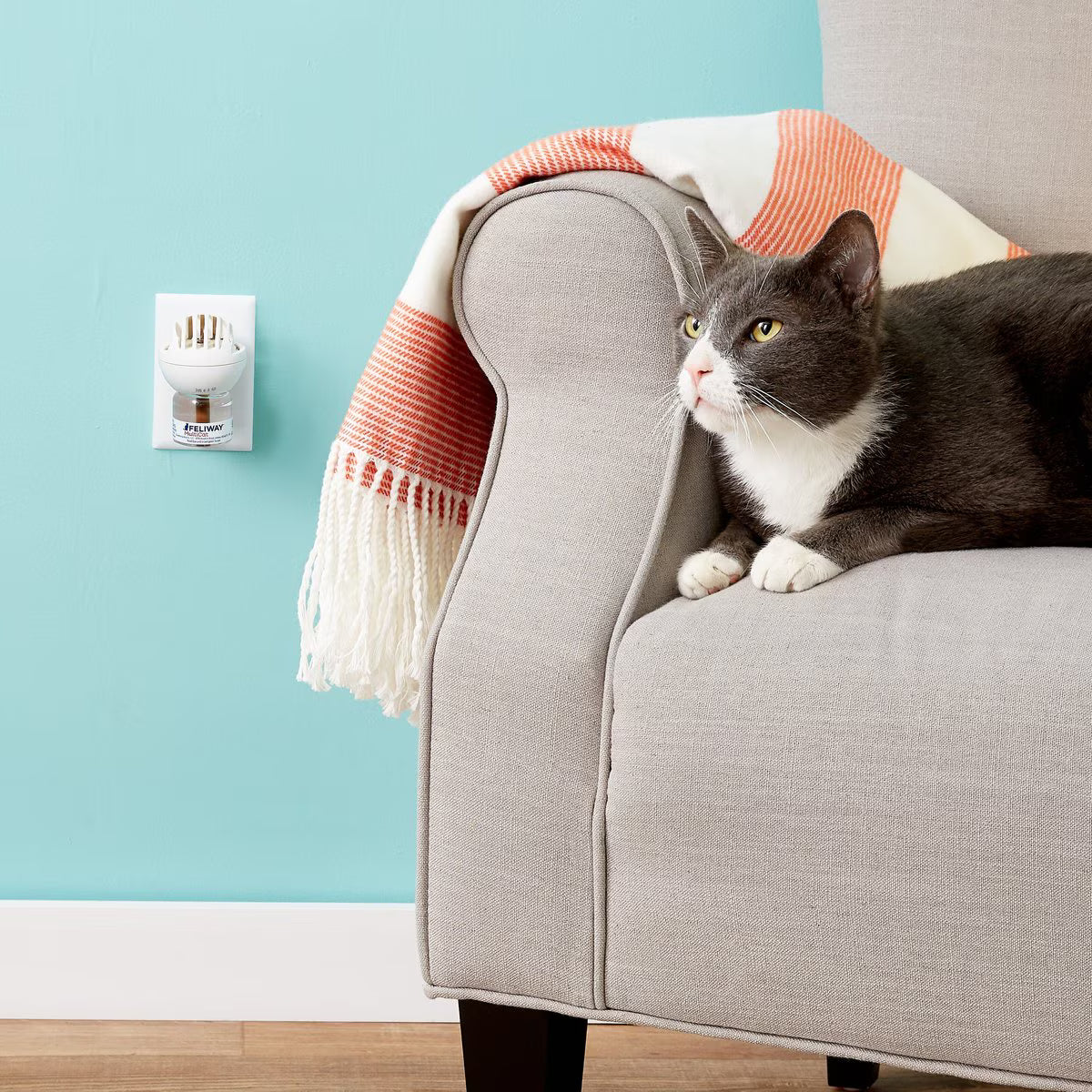 Feliway MultiCat 30 Day Calming Diffuser Refill for Cats