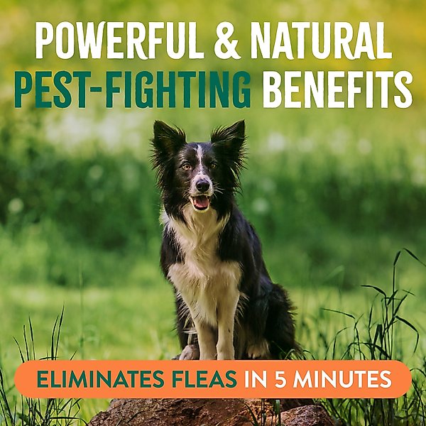 TropiClean Natural Flea & Tick Dog + Home Spray