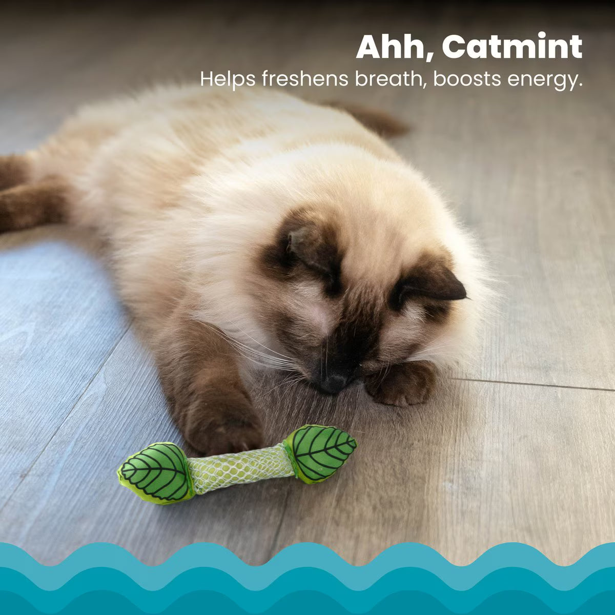 Petstages Catstages Fresh Breath Mint Stick Cat Chew Toy