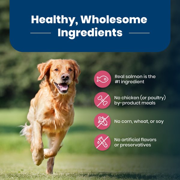 Blue Buffalo Life Protection Salmon & Brown Rice Recipe Adult Dry Dog Food