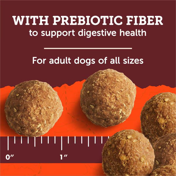 Zuke's Adventure Bites Peanut Butter & Oats Recipe Soft & Chewy Dog Treats
