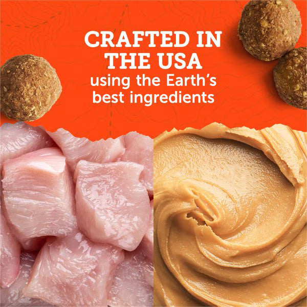 Zuke's Adventure Bites Peanut Butter & Oats Recipe Soft & Chewy Dog Treats