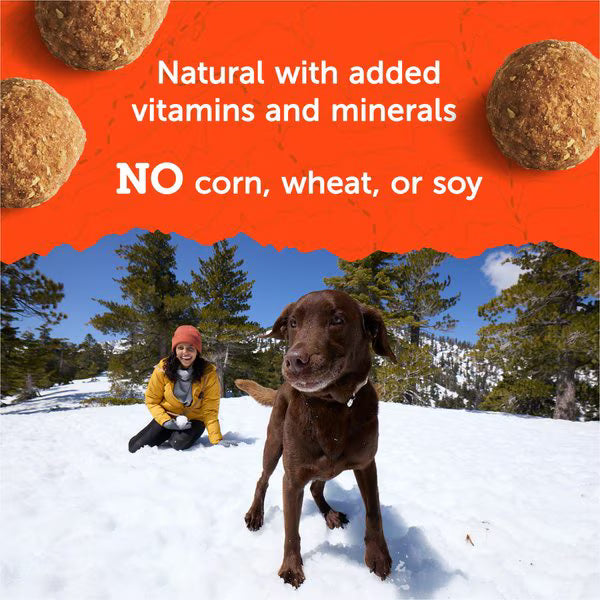 Zuke's Adventure Bites Peanut Butter & Oats Recipe Soft & Chewy Dog Treats