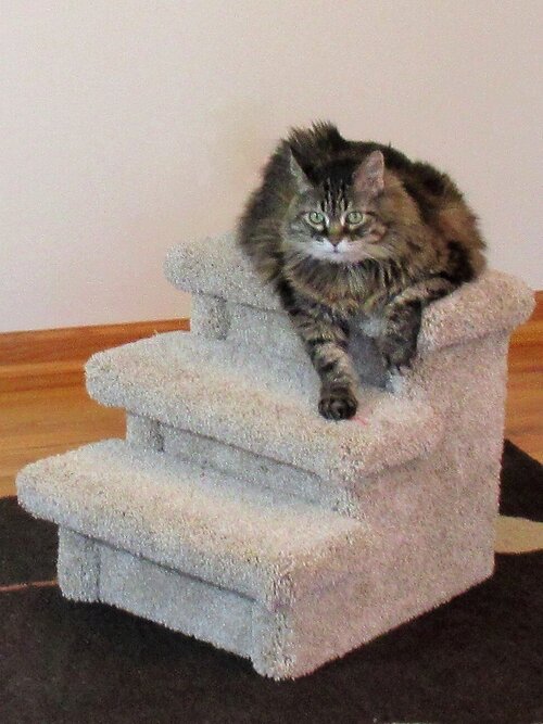 Purrniture Cat Furniture Mark III Steps