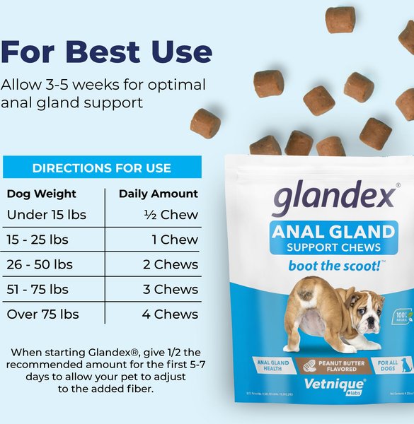 Glandex Anal Gland Support Peanut Butter Flavored Soft Chews Supplement for Dogs