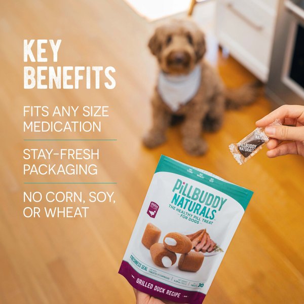 Complete Natural Nutrition Pill Buddy Naturals Peanut Butter & Honey Soft & Chewy Dog Treats