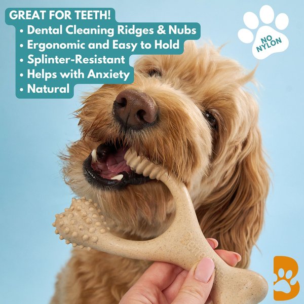 BetterBone Soft Density Wishbone Classic Flavor Dog Chew Toy