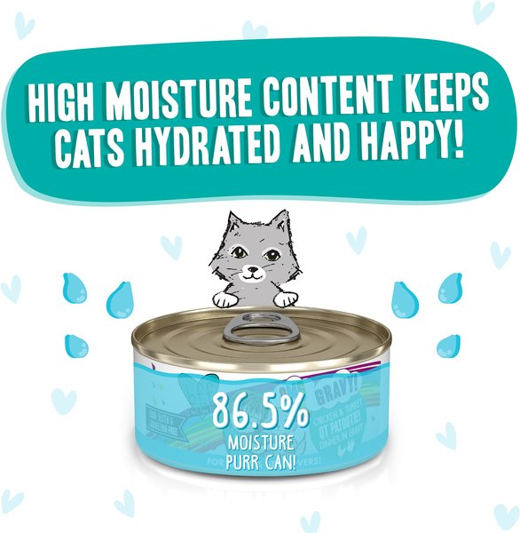 Weruva BFF OMG Chicken Turkey QT Patootie Canned Cat Food