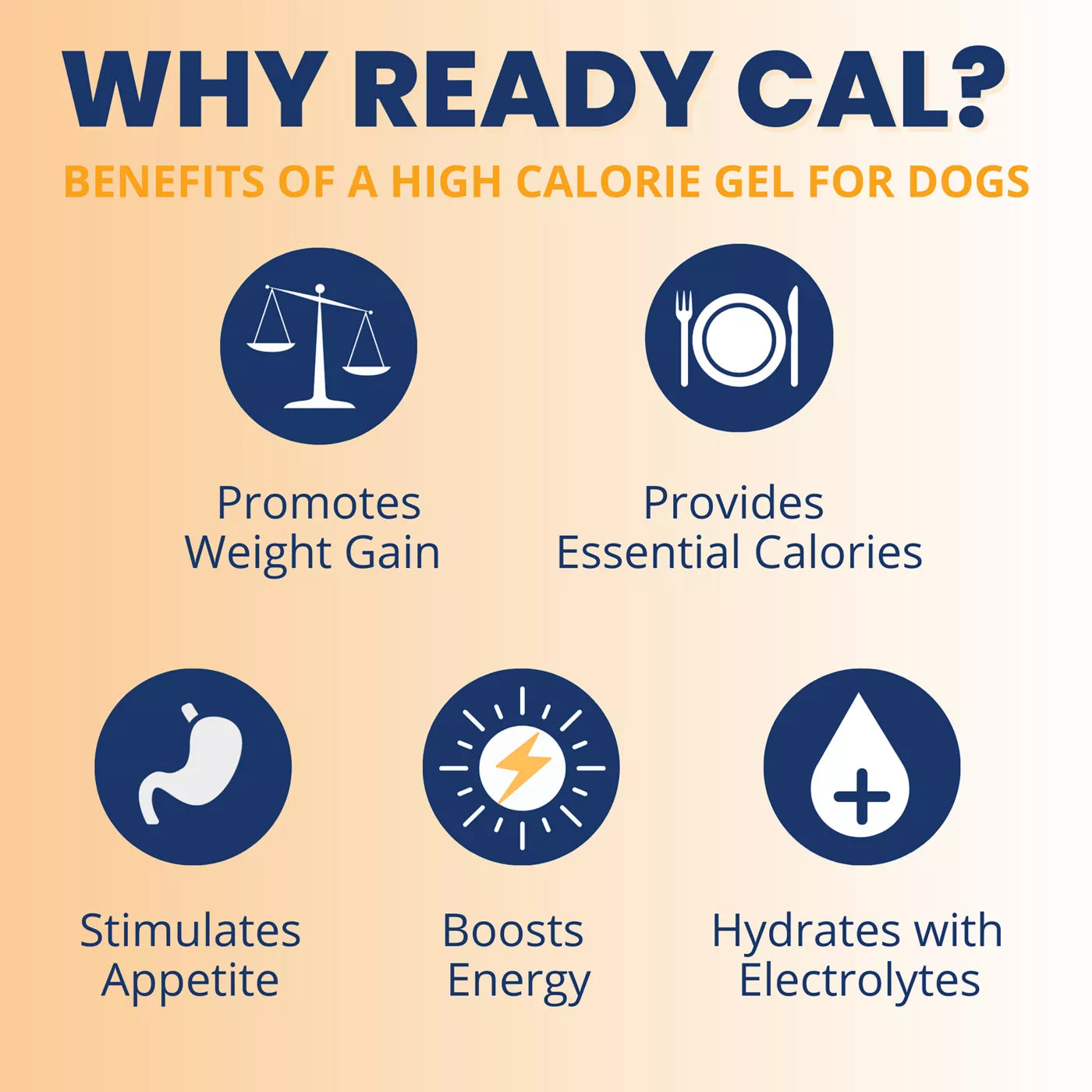 Under the Weather Ready Cal Plus Electrolytes High-Calorie Supplement for Dogs