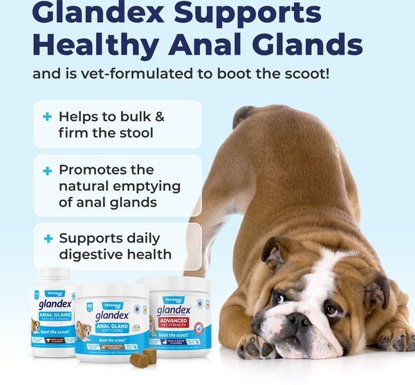 Glandex Anal Gland Support Peanut Butter Flavored Soft Chews Supplement for Dogs