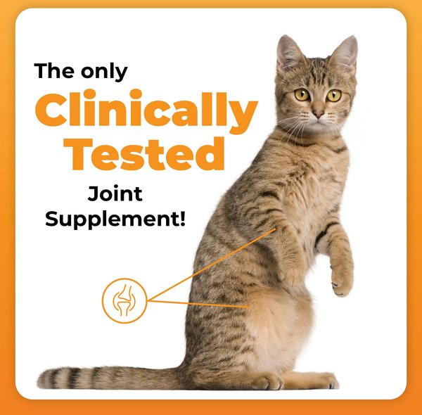 VetriScience GlycoFlex Plus Soft Chews Joint Supplement for Cats