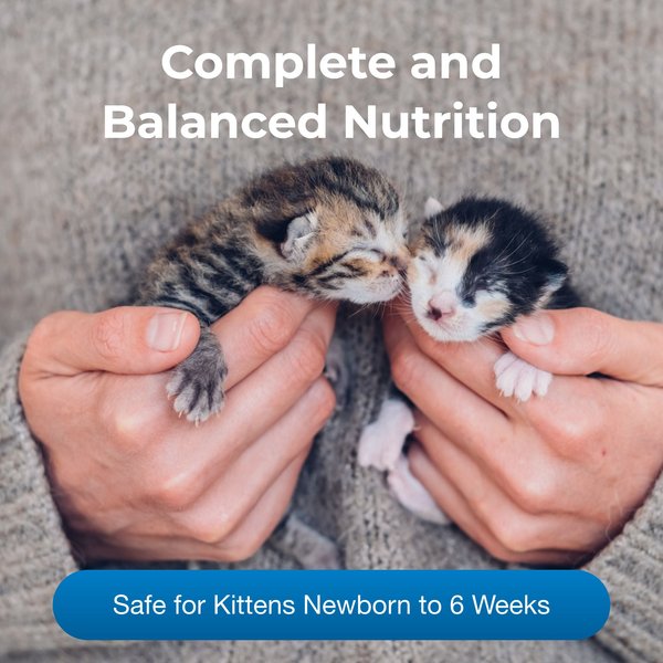 PetAg KMR Kitten Milk Replacer Powder Supplement for Cats