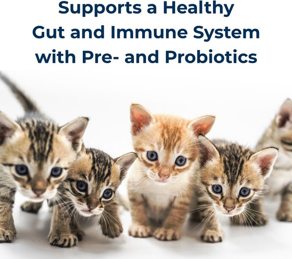 PetAg KMR Kitten Milk Replacer Powder Supplement for Cats