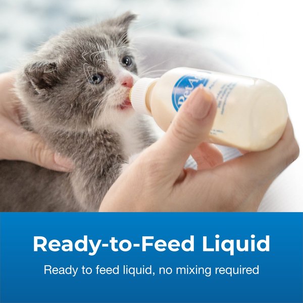 PetAg KMR Kitten Milk Replacer Liquid Supplement for Cats