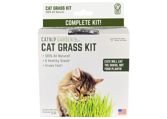 Multipet Catnip Garden Cat Grass Treat Kit for Cats