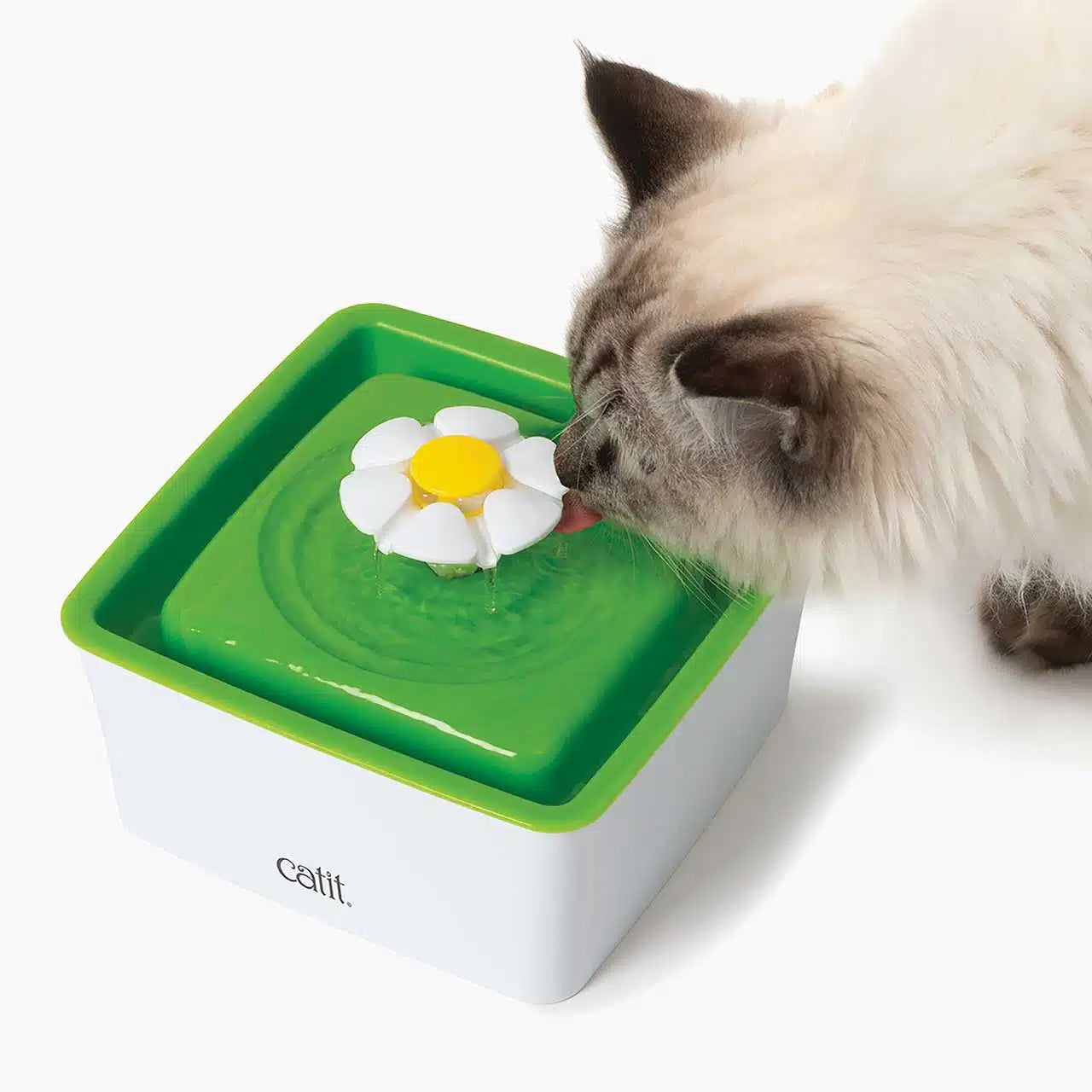 Catit Mini Flower Drinking Fountain for Cats