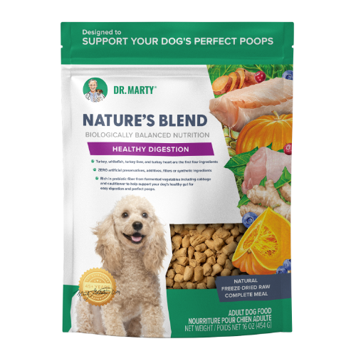 DR. MARTY Nature’s Blend Healthy Digestion Freeze Dried Raw Dog Food