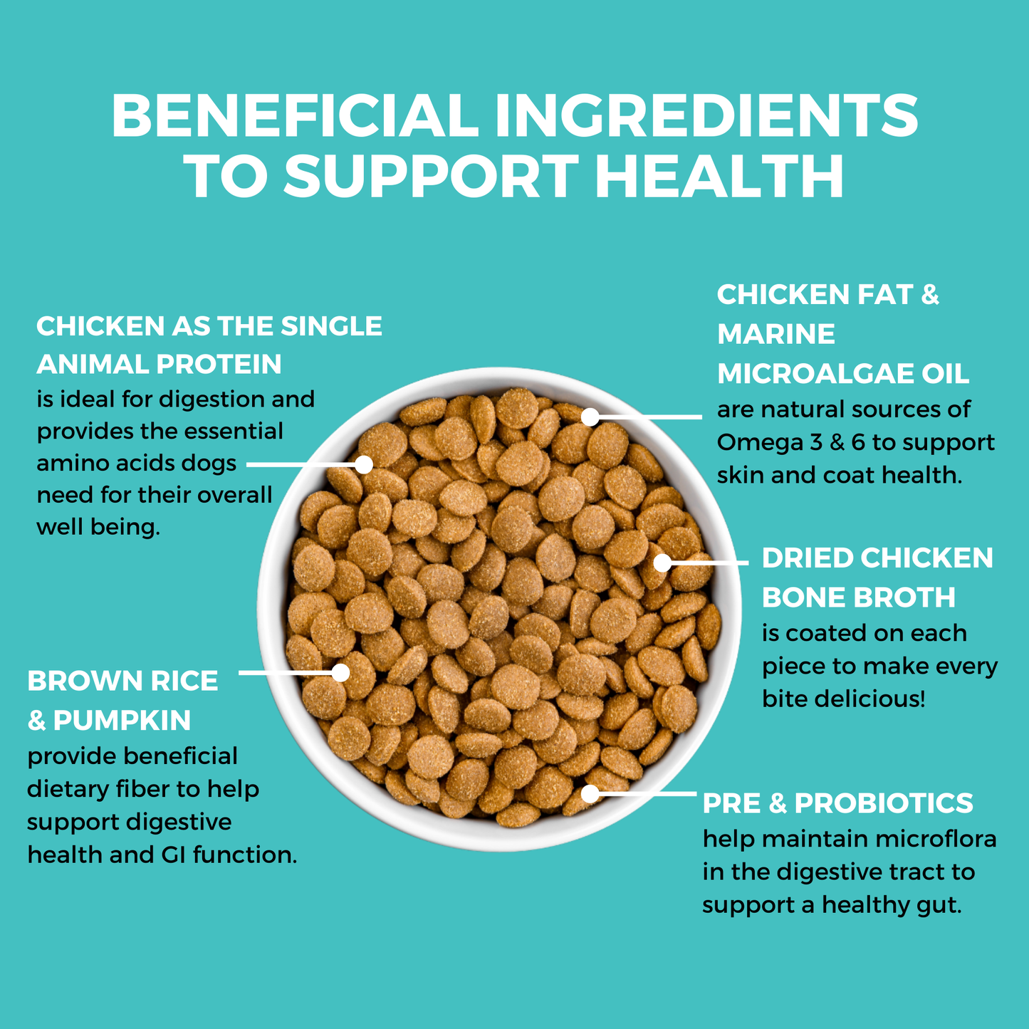 KOHA Limited Ingredient Bland Diet Chicken & Brown Rice Recipe with Pumpkin Dry Dog Food