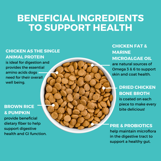 KOHA Limited Ingredient Bland Diet Chicken & Brown Rice Recipe with Pumpkin Dry Dog Food