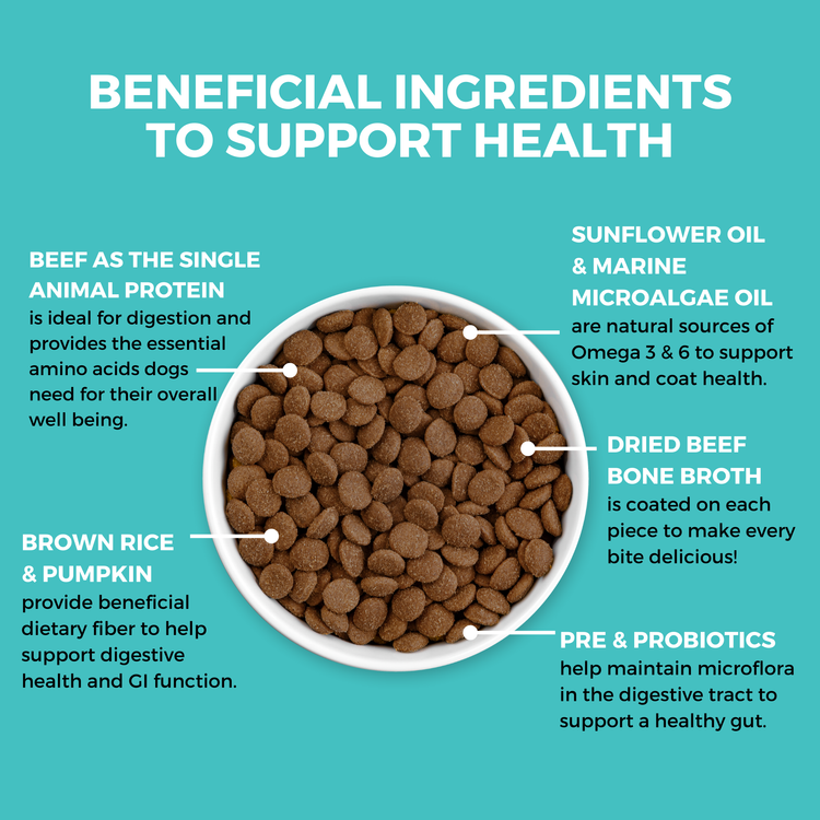 KOHA Limited Ingredient Bland Diet Beef & Brown Rice Recipe with Pumpkin Dry Dog Food