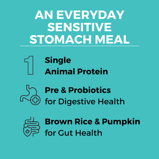 KOHA Limited Ingredient Bland Diet Beef & Brown Rice Recipe with Pumpkin Dry Dog Food