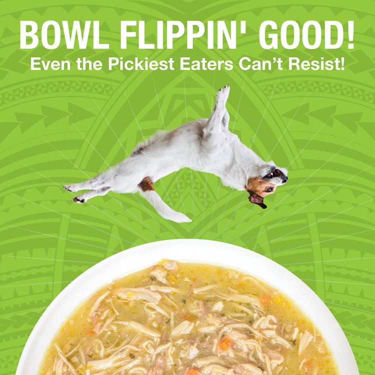 KOHA Pure Shreds Shredded Chicken Breast & Duck Entrée Canned Dog Food