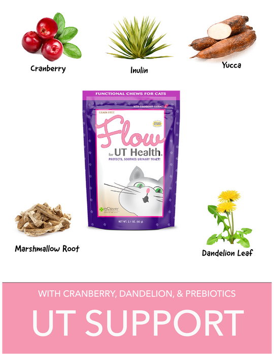 InClover Flow Urinary Tract Health Soft Chews Supplement for Cats