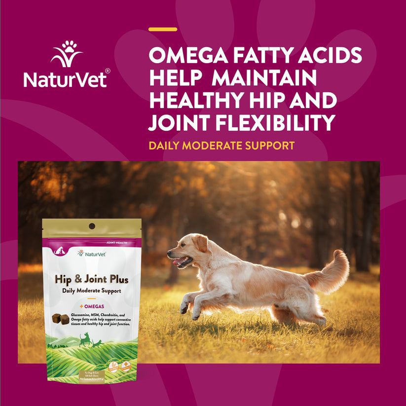 NaturVet Hip & Joint Plus Soft Chews for Dogs