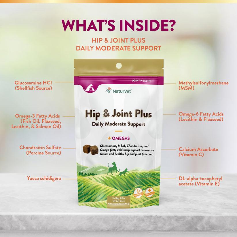 NaturVet Hip & Joint Plus Soft Chews for Dogs