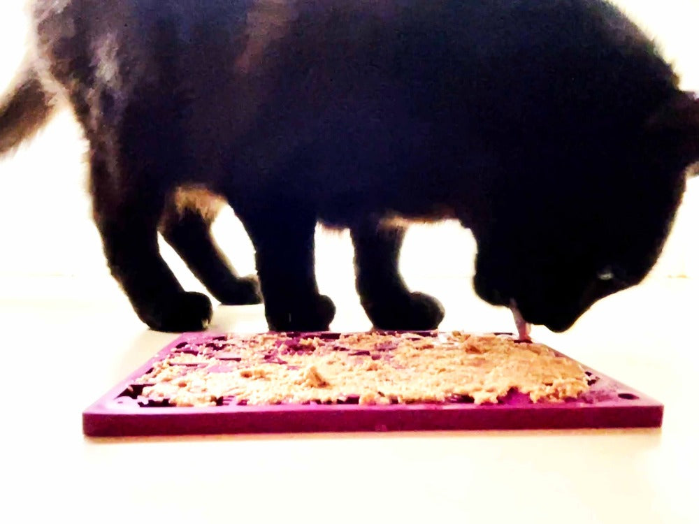 SodaPup Plum Fishy Design eMat Enrichment Lick Mat for Dogs & Cats