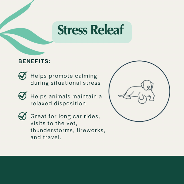 Pet Releaf Stress Releaf Edibites Peppered Bacon Flavor for Small Dogs