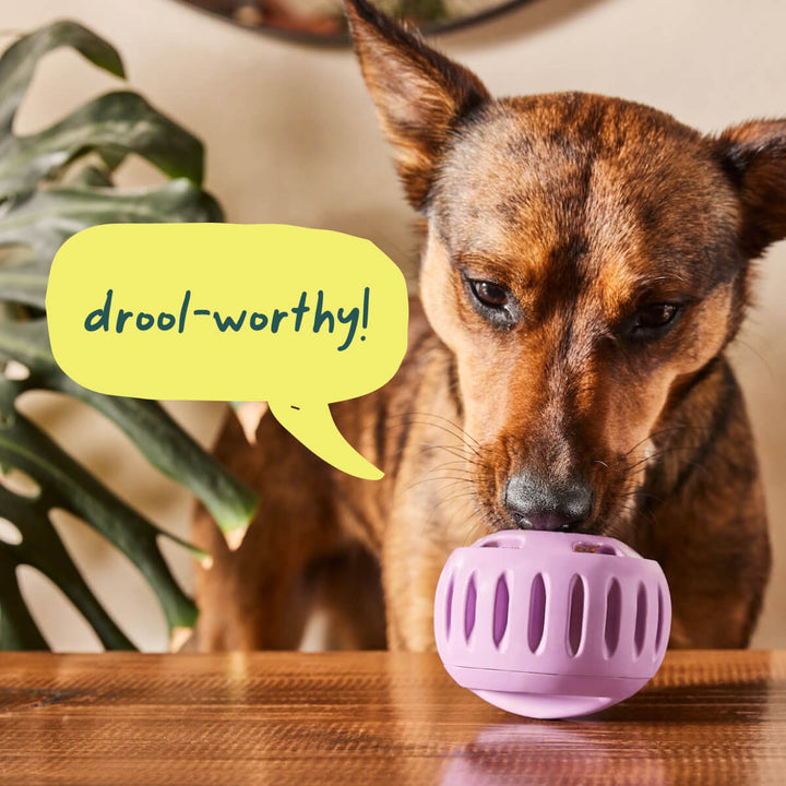 Woof Pupsicle Long Lasting Refillable Dog Treat Dispenser Toy in Lavender