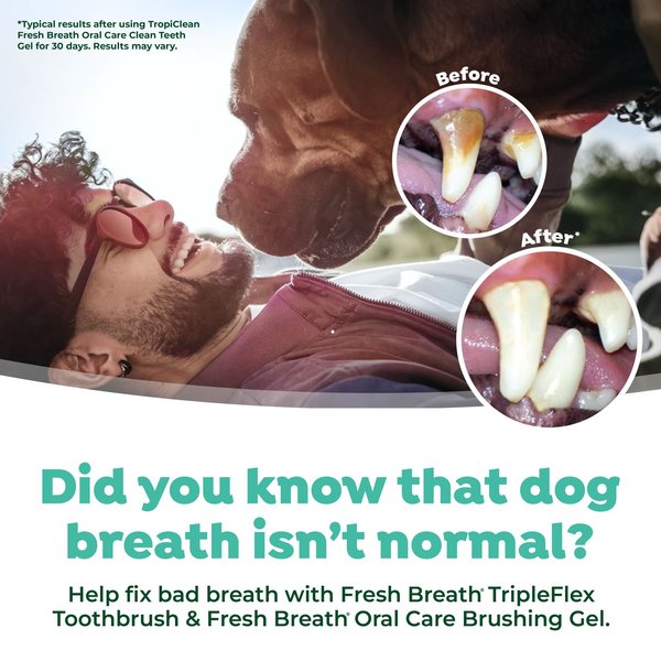 TropiClean Fresh Breath Tripleflex Plaque & Tartar Remover Large Dog Toothbrush