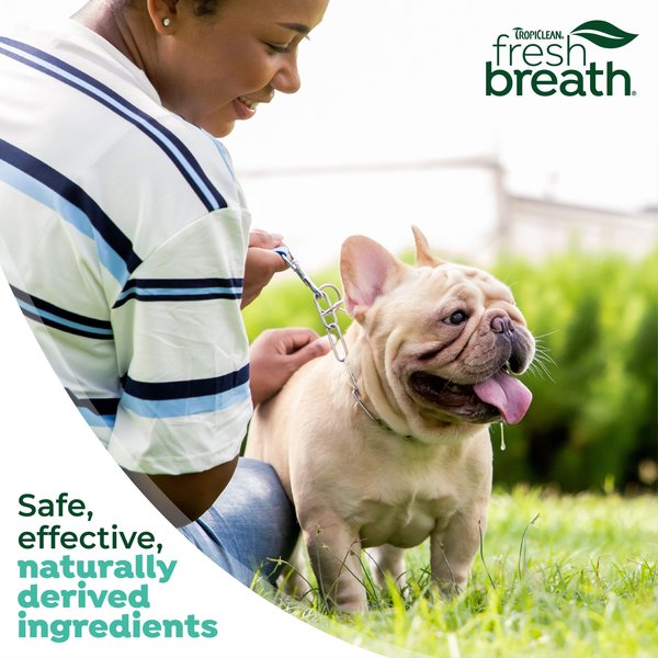 TropiClean Fresh Breath Finger Brush Dog Toothbrushes