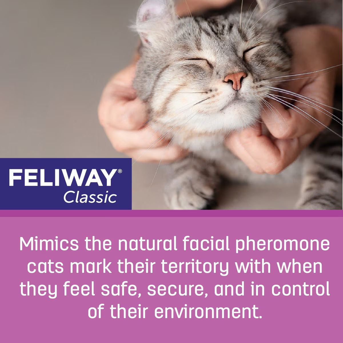 Feliway Classic 30 Day Calming Diffuser Refill for Cats