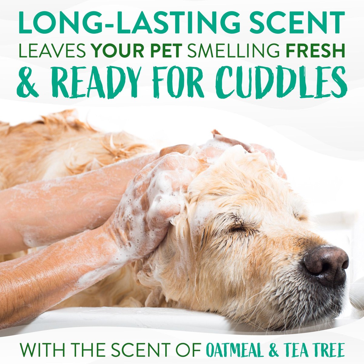 TropiClean Medicated Itchy Skin Relief Oatmeal & Tea Tree Shampoo for Dogs