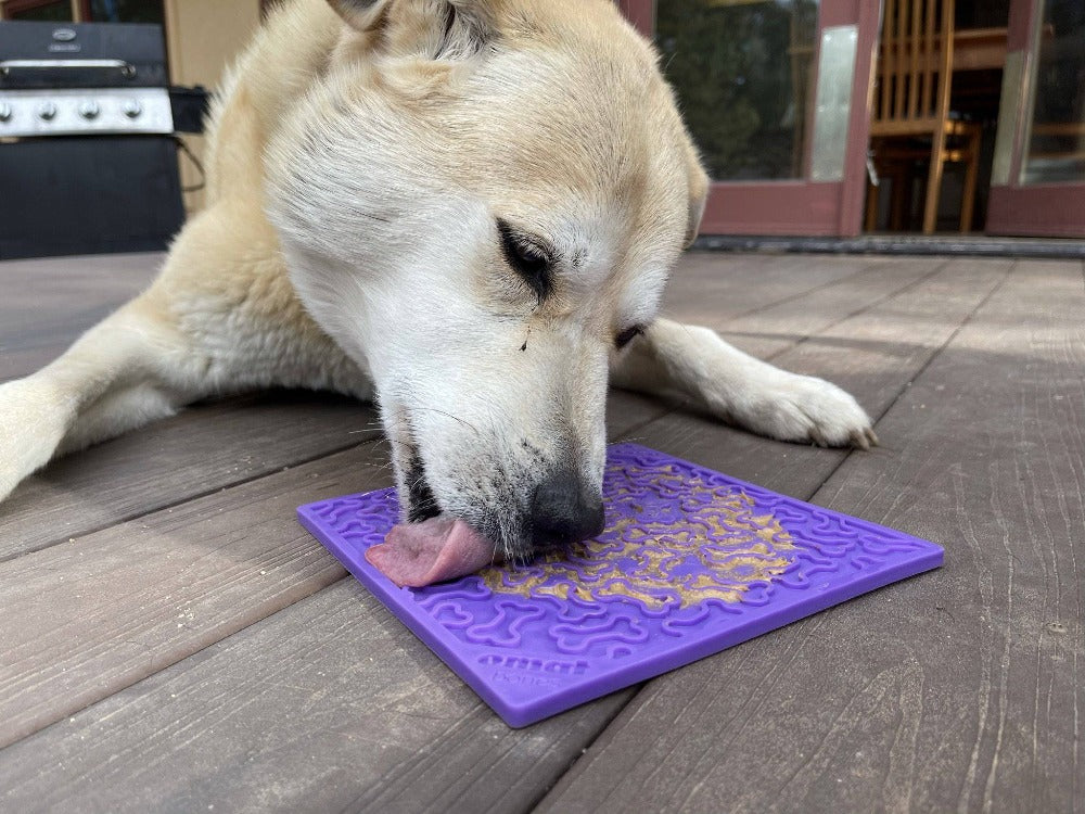 SodaPup Purple Bones Design eMat Enrichment Lick Mat for Dogs