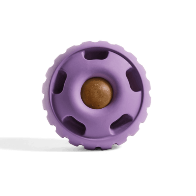 Woof Pupsicle Long Lasting Refillable Dog Treat Dispenser Toy in Lavender